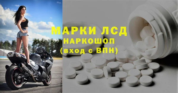 шишки Баксан