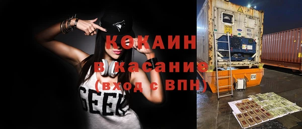 шишки Баксан