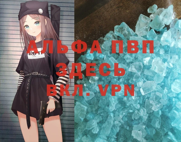 стафф Ростов