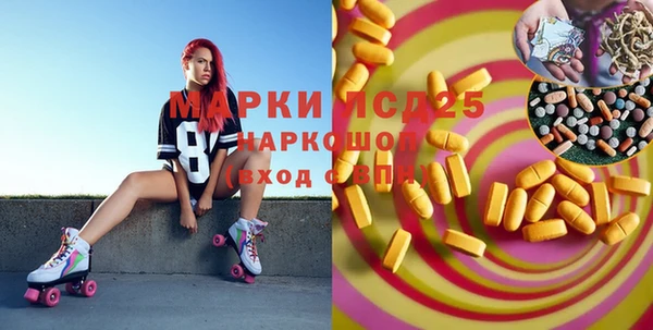 шишки Баксан