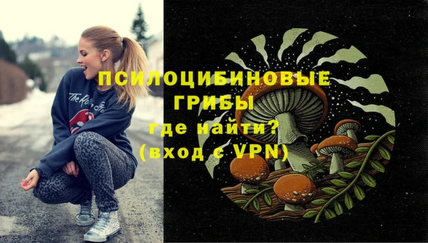 дмт Балахна