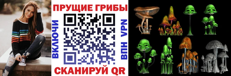 Галлюциногенные грибы MAGIC MUSHROOMS где можно купить наркотик Давлеканово